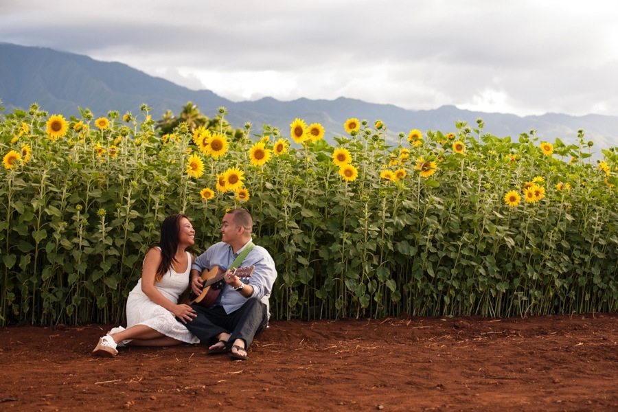 couple sunflowers north shore mountains sky clouds