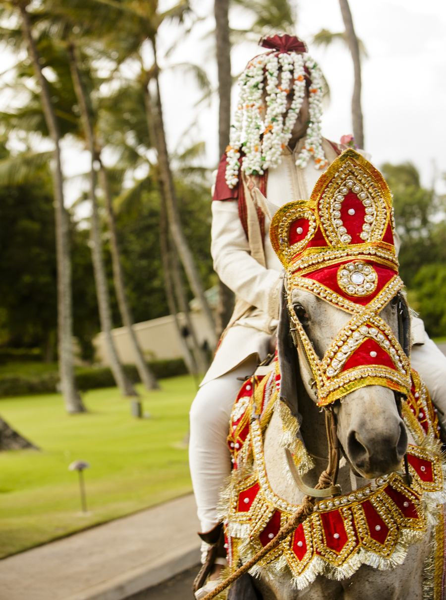 groom, white horse, indian wedding, kauai, grand hyatt