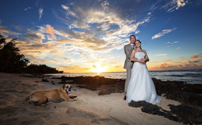 hawaii wedding, beach, sunset, beach, ocean, island, dog, white dress, bride, groom, portrait