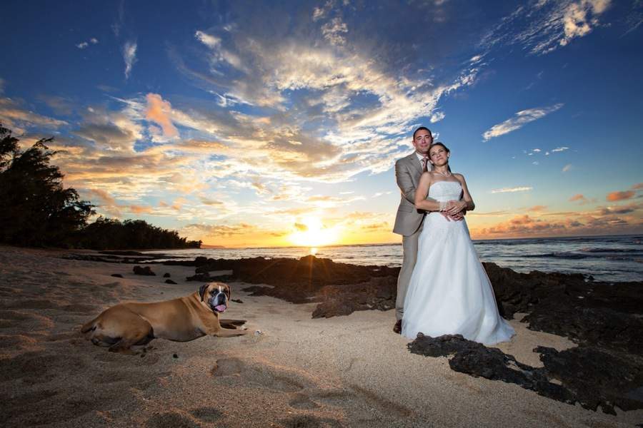 hawaii wedding, beach, sunset, beach, ocean, island, dog, white dress, bride, groom, portrait