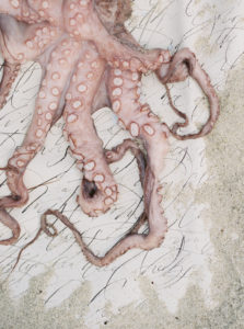 Wedding Details Octopus