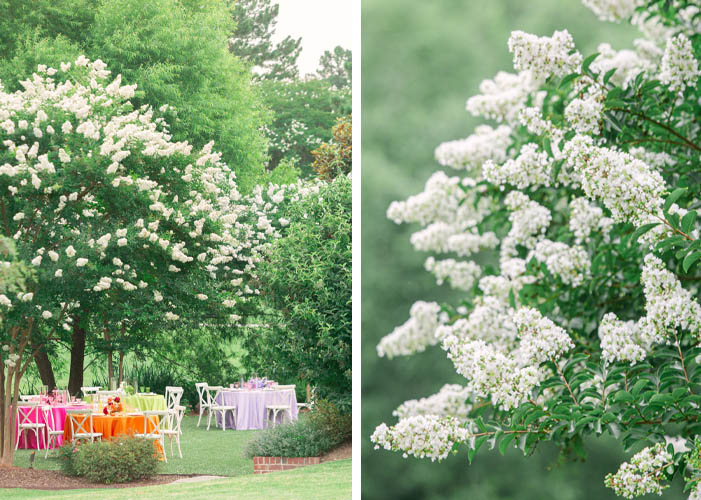 A Joyful Summer Wedding at a Private Estate in Raleigh, NC 6 Outdoor Wedding Reception in Raleigh NC