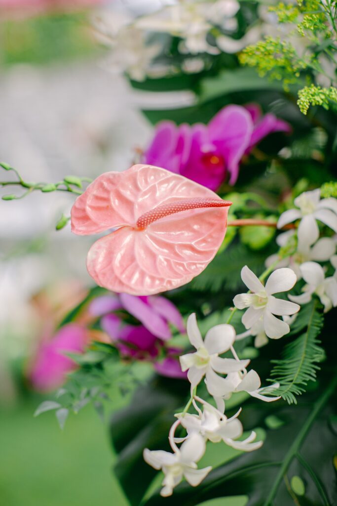 anthurium tropical wedding flower
