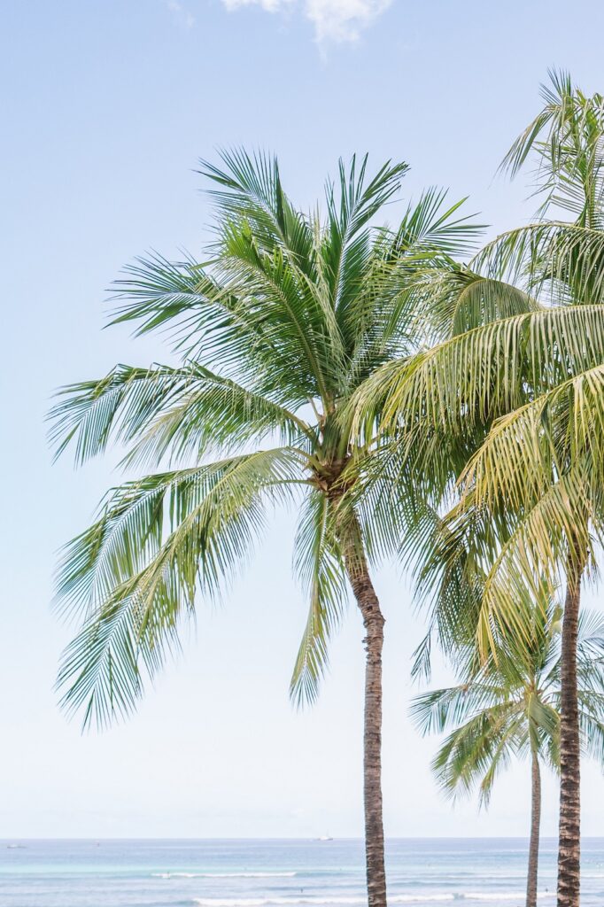 Waikiki beach wedding